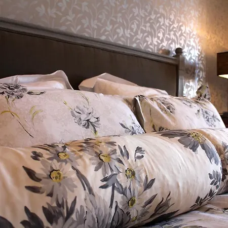Oda ve Kahvaltı 15 Grand Rue Narbonne